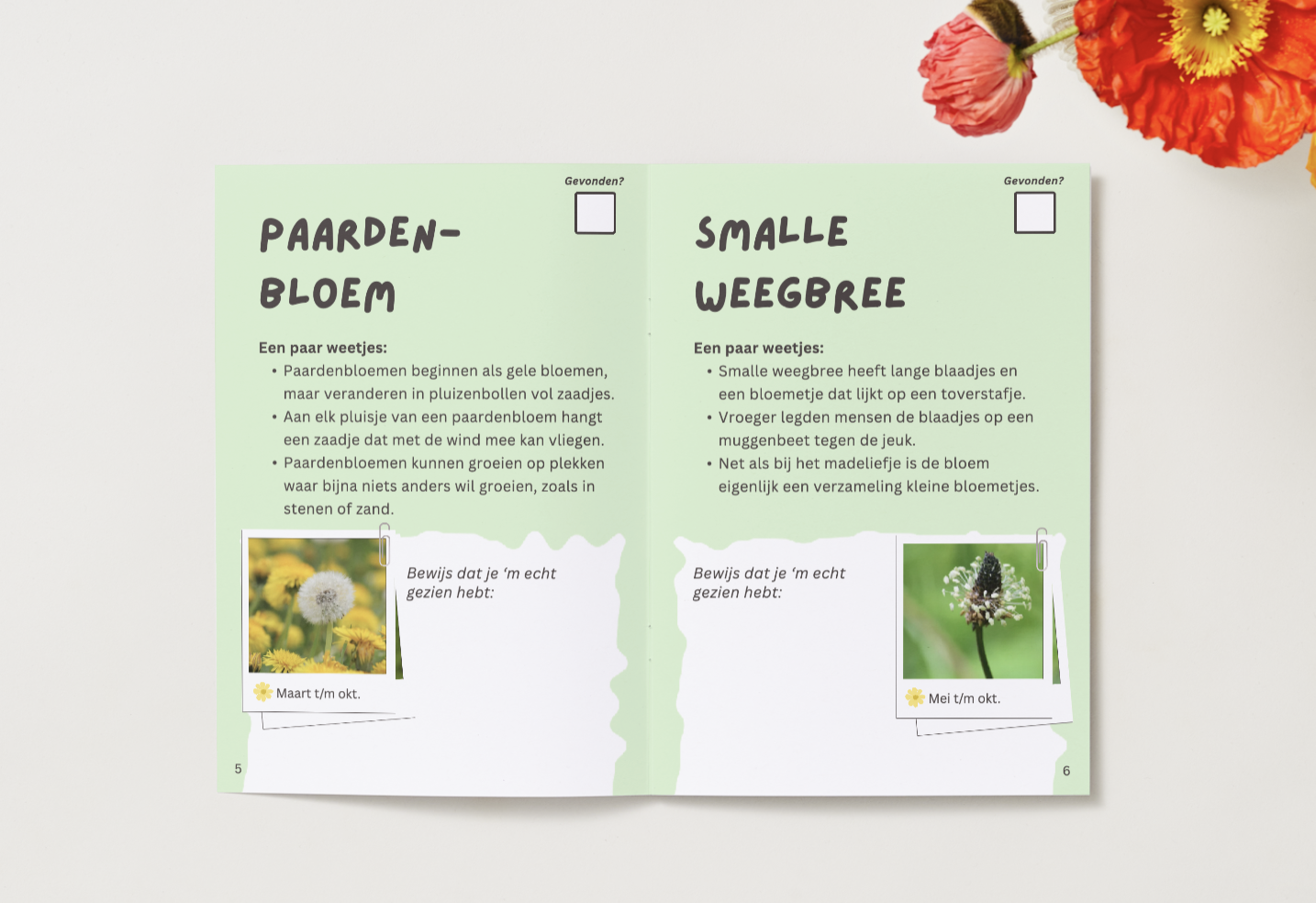 Bloemenjacht boek binnenin